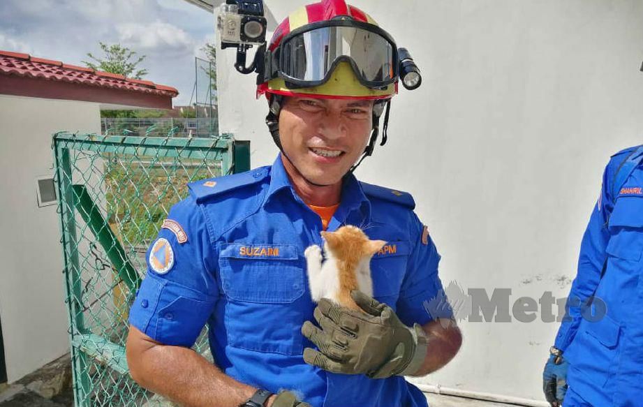 ANGGOTA APM Kuala Selangor menyelamatkan anak kucing yang terperangkap. FOTO ihsan APM 