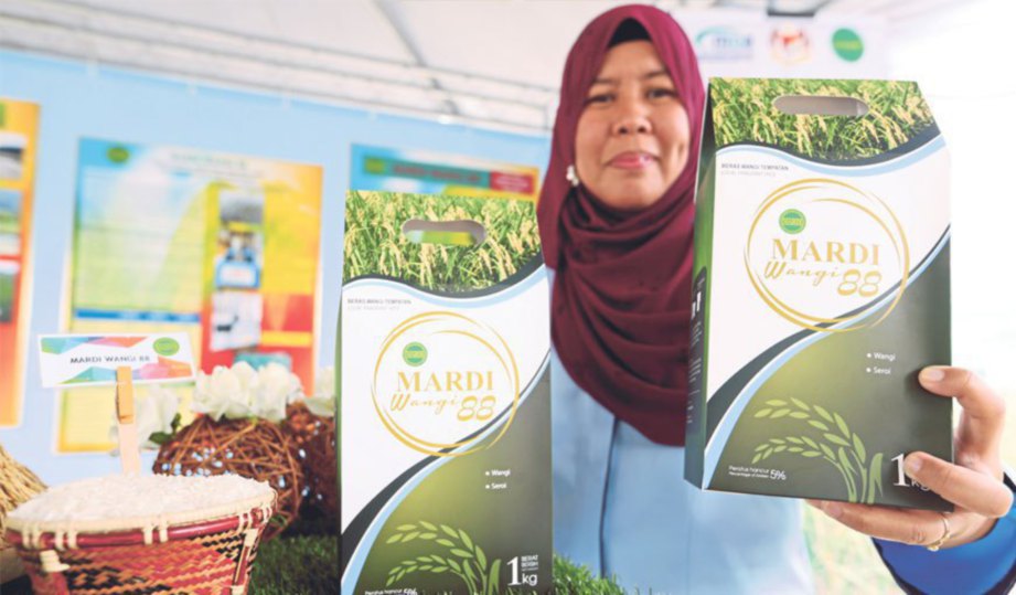  PENYELIDIK baik baka padi MARDI Wangi 88, Dr Asfaliza Ramli menunjukkan padi berkenaan.