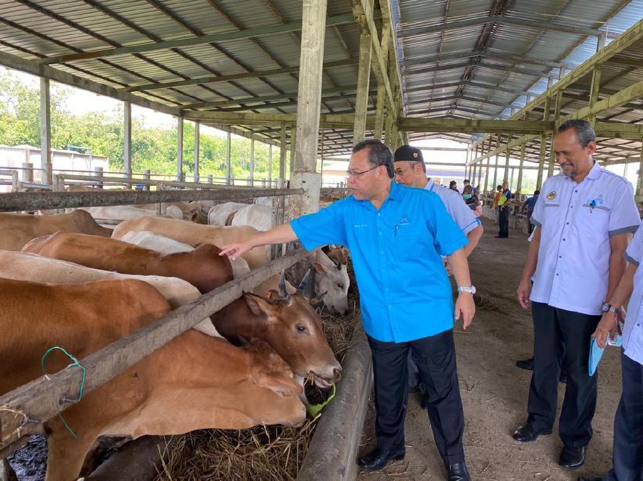 ABDUL Fattah (berbaju biru) ketika melawat Ladang Ternakan milik KONSORMAS bertempat di Kampung Kuala Jerang. FOTO IHSAN ANGKASA