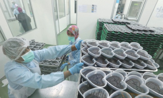 MELIHAT pekerja menyiapkan kek coklat kukus untuk pasaran Kedai Mesra Petronas.