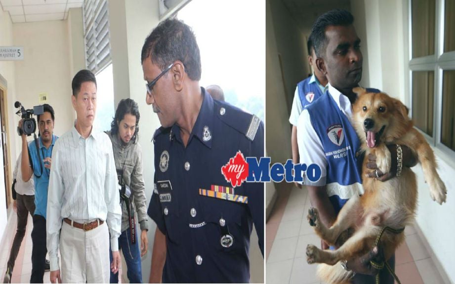 Yee dibawa keluar dari Mahkamah Majistret Petaling Jaya selepas didakwa mendera anjing di sebuah pondok pengawal keselamatan di Puchong. (Gambar kanan) Anjing yang bernama Furby turut dibawa ke mahkamah. FOTO Eizairi Shamsudin
