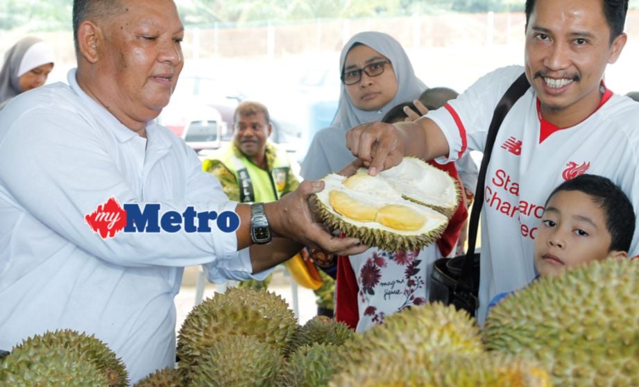 PENIAGA, Ahmad Ruslan Jawi, 54 menunjukkan isi durian kepada pelanggannya di Pesta Durian di kawasan Rehat & Rawat Seremban (arah selatan) di lebuh raya PLUS. FOTO Wan Nur Amirah Wan Mohamed Redza