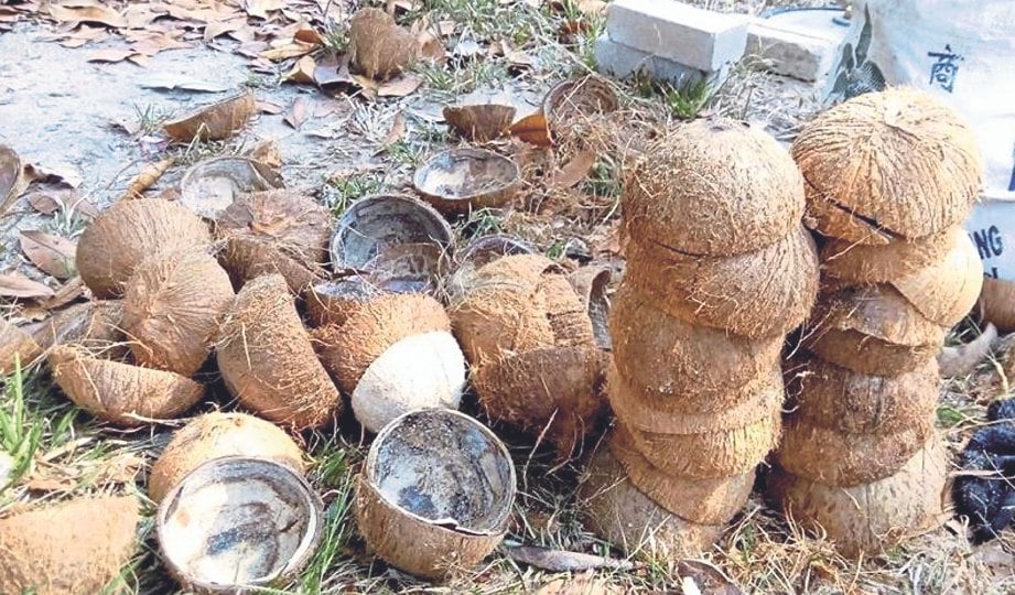 Cara Membuat Tempat Tisu Dari Batok  Kelapa  Sebuah Tempat