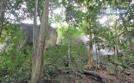NIKMATI kesegaran dan kehijauan alam semula jadi di Hutan Rekreasi Bukit Batu Lebah