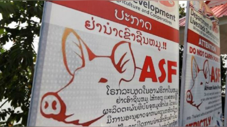 GAMBAR fail menunjukkan poster pemberitahuan mengenai ASF di Thailand. FOTO Reuters