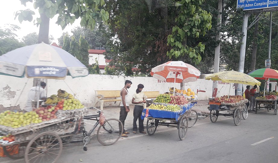 MENJUAL buah-buahan antara sebahagian mata pencarian masyarakat Punjab.