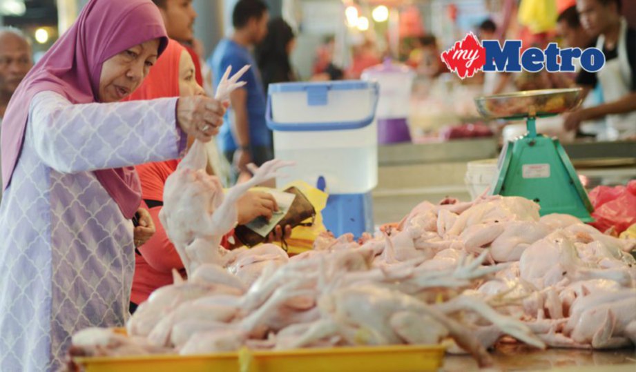 TINJAUAN harga ayam di sekitar pasar Kuala Lumpur.