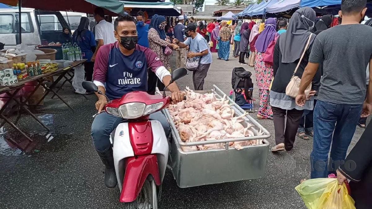 HAIRUL Hadi sedang memunggah ayam untuk dijual di Pasar Teluk Ketapang, hari ini. FOTO BAHAROM BAKAR. 