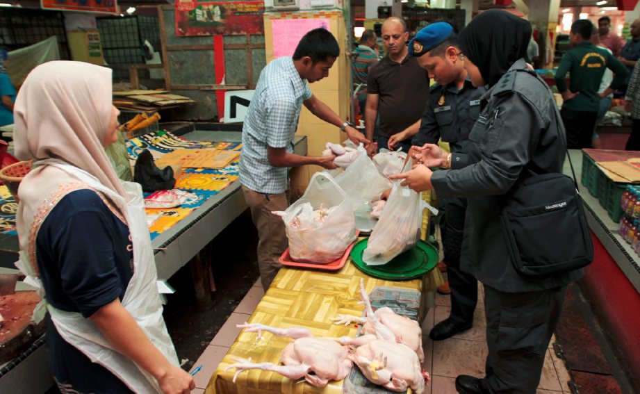 Anggota penguatkuasa KPDNKK Kelantan, memeriksa ayam yang menjual pada harga tinggi sebelum mengeluarkan notis di Pasar Siti Khadijah di Kota Bharu. FOTO Syamsi Suhaimi