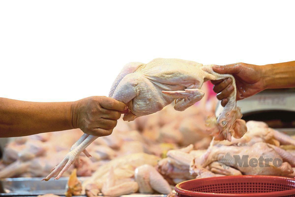 MAFI komited  memastikan industri ayam dan telur kekal mampan dengan bantuan subsidi kepada penternak.