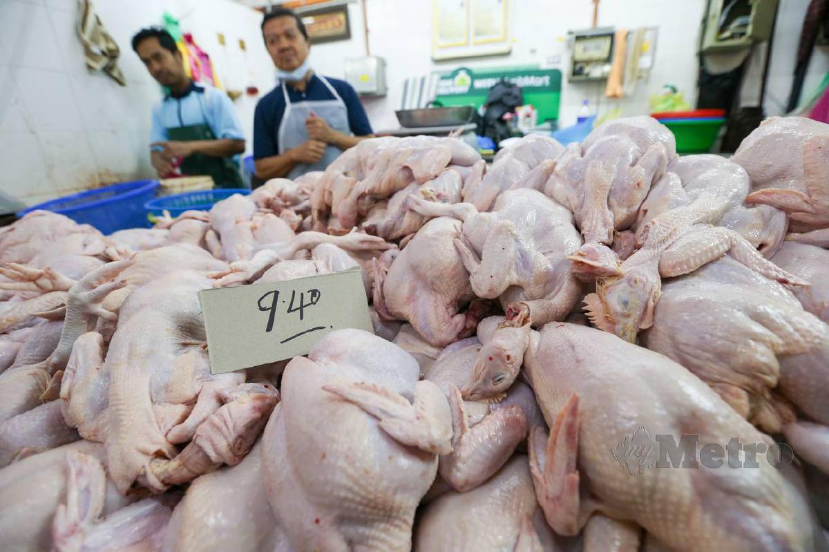  Peniaga menjual ayam segar pada harga RM9.40 sekilogram ketika tinjauan di Pasar Bayan Baru di sini, pada hari pertama susulan kerajaan menamatkan sepenuhnya pemberian subsidi dan harga kawalan bagi ayam. FOTO DANIAL SAAD
