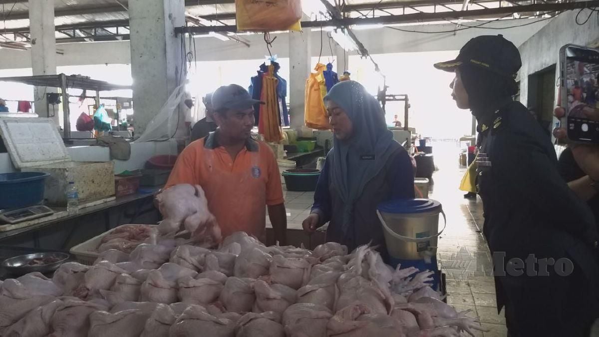 Norazah Jaapar dan anggota KPDN Perlis melakukan pemantauan harga ayam segar di Pasar Besar Sena di Kangar selaras dengan penamatan harga kawalan dan subsidi hari ini. FOTO AIZAT SHARIF