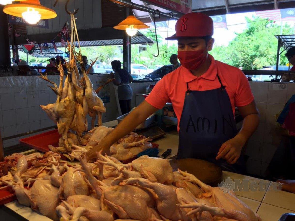 Zul Fakri Amin sedang menyusun ayam segar yang dijual pada harga RM10.50 sekilogram di Pasar Cabang Tiga, hari ini. FOTO BAHAROM BAKAR