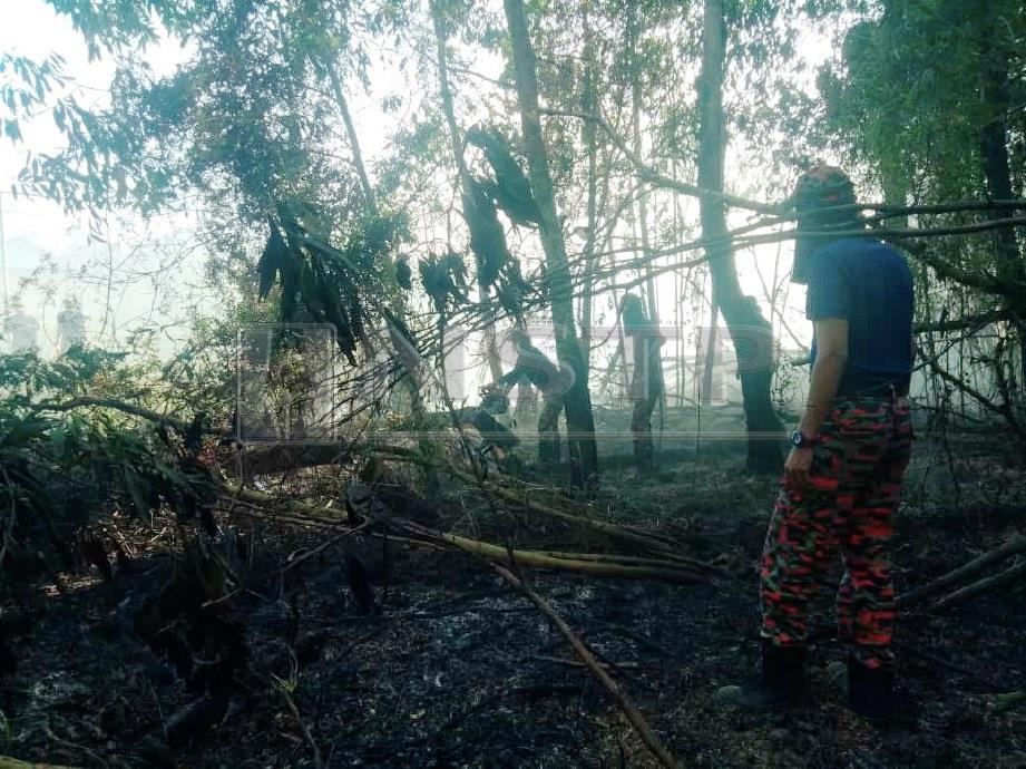 ANGGOTA bomba memadamkan kebakaran hutan gelam di Kampung Alur Jambu, Kuala Nerus. FOTO ihsan bomba
