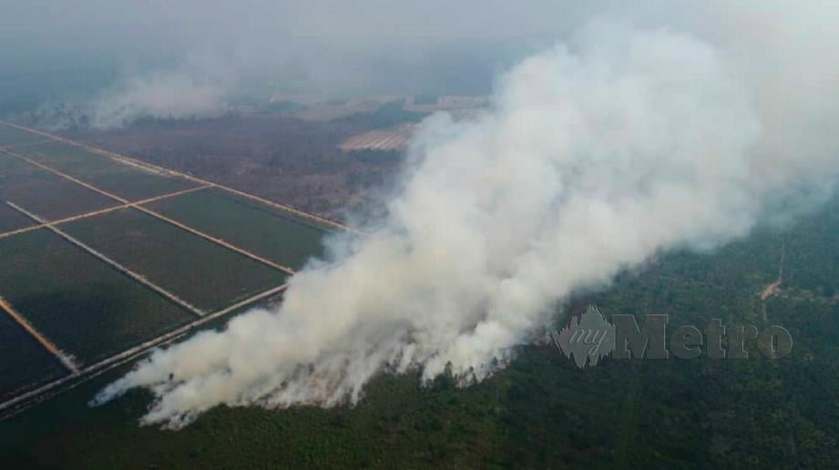 KEBBAKARAN hutan di Bukit Palas, Cherating membabit kawasan seluas 10 hektar. FOTO ihsan bomba.