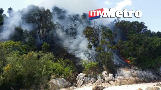 Sebahagian hutan di Pulau Lalang yang terbakar. FOTO ihsan Perbadanan Taman Negeri Perak