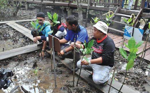 WAKIL media berpeluang melakukan penanaman semula pokok bakau sebagai langkah konservasi demi kesejahteraan habitat flora dan fauna.