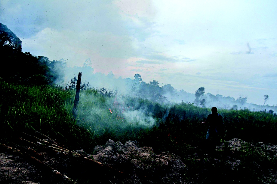 GAMBAR yang dirakam pada 11 Januari lalu menunjukkan satu kebakaran belukar di Pekanbaru, Riau. - Antara 