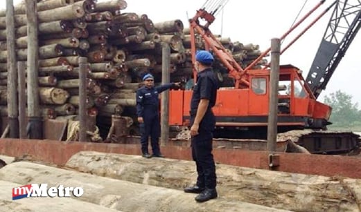 Pelbagai jenis balak dan saiz dirampas dari sebuah tongkang di Sibu, Sarawak, pada 17 September lalu. - Gambar fail Ihsan POLIS MARIN