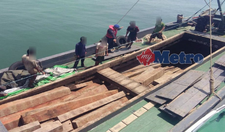 ANGGOTA PPM memeriksa bot tukar barang membawa 320 kayu balak bergergaji tanpa dokumen sah kastam di perairan Kuala Selangor, semalam. FOTO Ihsan PPM
