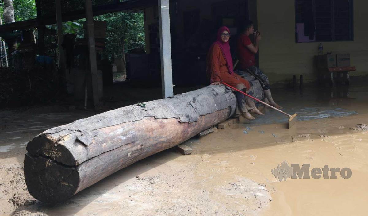 MASHITAH menunjukkan kayu balak yang hanyut ke rumah mereka akibat banjir kilat. FOTO Ahmad Mukhsein Mukhtar
