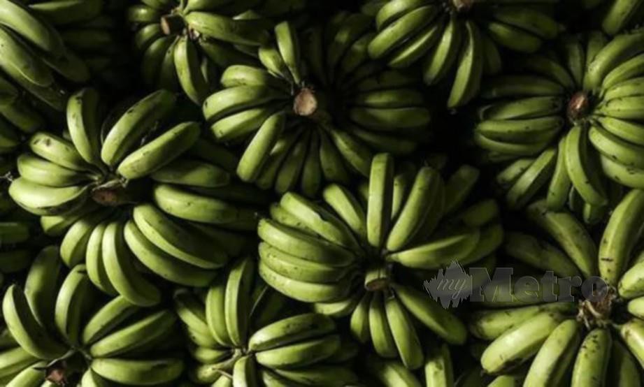 KOKAIN disembunyikan di sebalik kotak pisang. FOTO/AFP