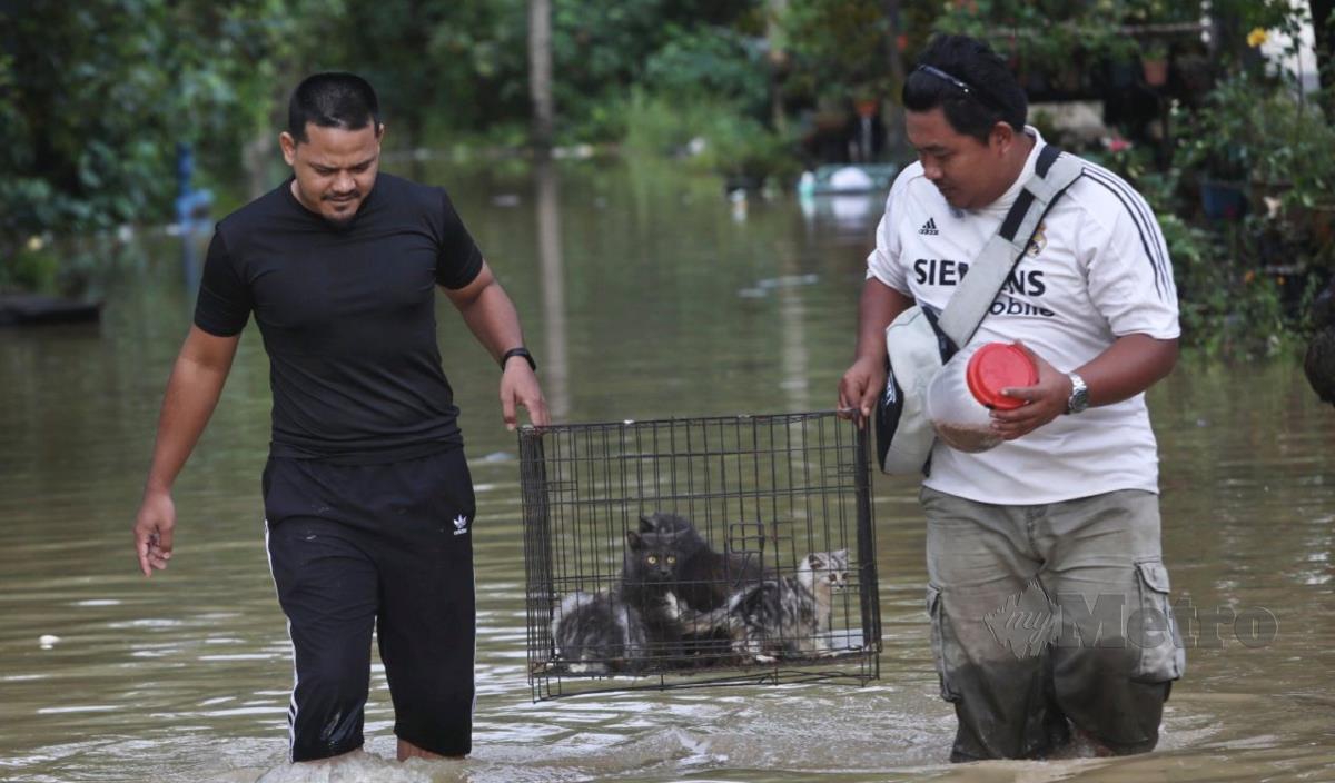 ZAIDI (kanan) dan Hairul Naim membawa kucing peliharaannya ke tempat lebih selamat selepas rumahnya dilanda banjir di Kampung Bukit Mentok, Kemaman. FOTO Ghazali Kori