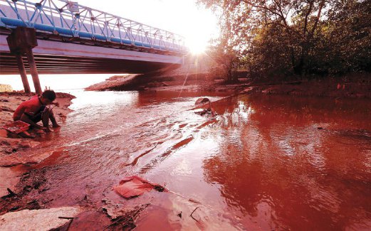 SEORANG penduduk mencari remis di Sungai Pengorak  yang berwarna merah akibat aktiviti perlombongan bauksit.