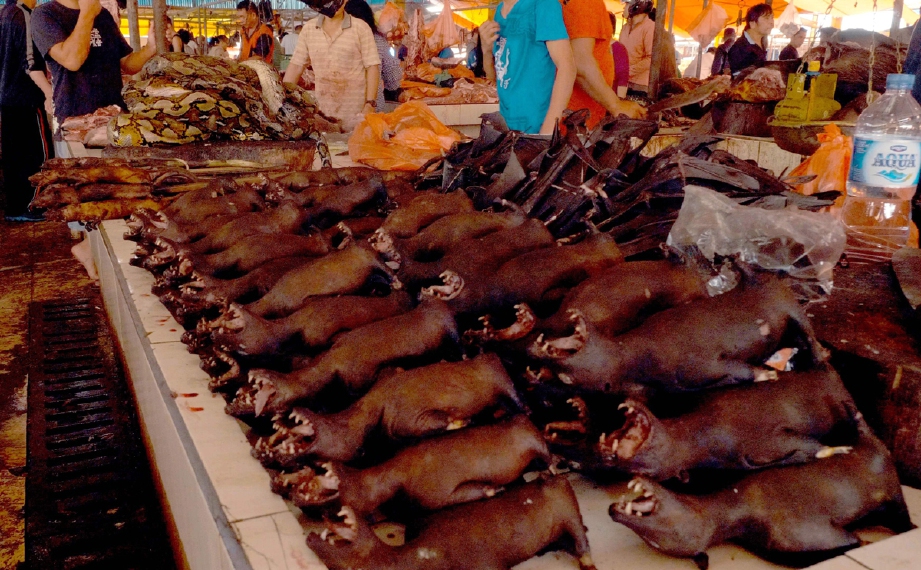 Gambar yang dirakam Disember lalu, oleh Dog Meat Free Indonesia menunjukkan anjing serta haiwan eksotik lain, termasuk ular yang dijual di pasar Tomohon, Sulawesi Utara. - via AFP