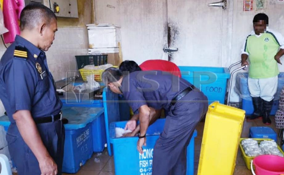ANGGOTA penguat kuasa KPDNHEP Kedah melakukan pemeriksaan di kilang pengeluar bebola ikan yang disyaki mengelirukan orang ramai kerana menggunakan dua label lama di Alor Setar, semalam. FOTO ihsan KPDNHEP.