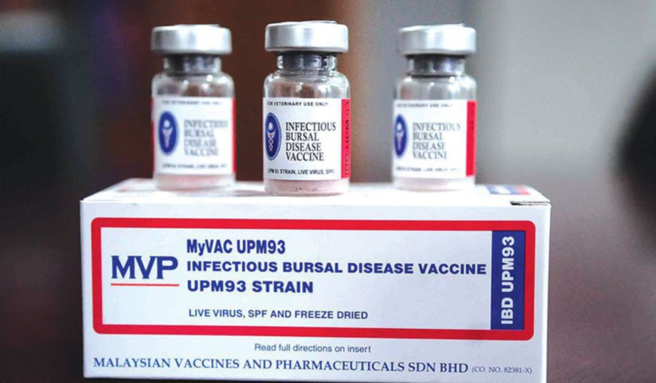 VAKSIN penyakit Gumboro (Bursal Disease Vaccine) atau MyVAC UPM93.