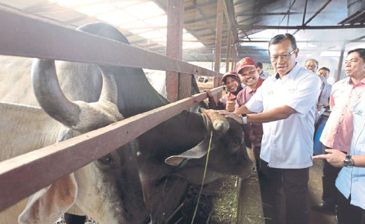AHMAD Shabery melakukan lawatan ke ladang ternakan lembu Akademi Usahawan MJ Fatonah di Kuala Selangor.