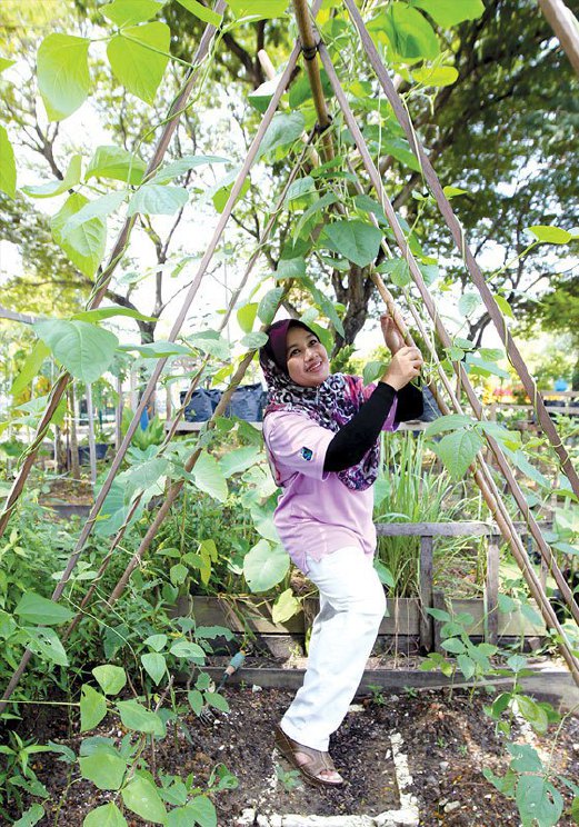 PENDUDUK Pangsapuri Garnet membetulkan tanaman sayuran.