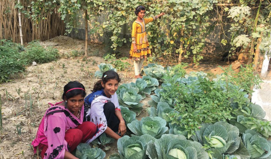 SEBAHAGIAN peserta projek gembira mengusahakan kebun sayur sendiri melalui Projek Remaja Perempuan untuk memperkasakan mereka.