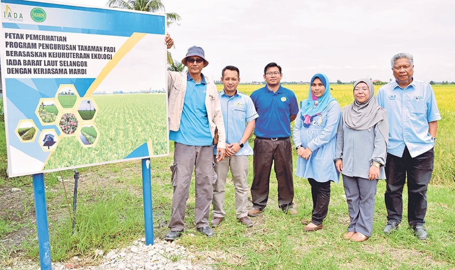 BADRULHADZA (tiga dari kiri) dan Syaliza Hanom (dua dari kanan) bersama pegawai IADA Barat Laut Selangor dan MARDI di hadapan projek kejuruteraan ekologi di Sungai Haji Dorani.