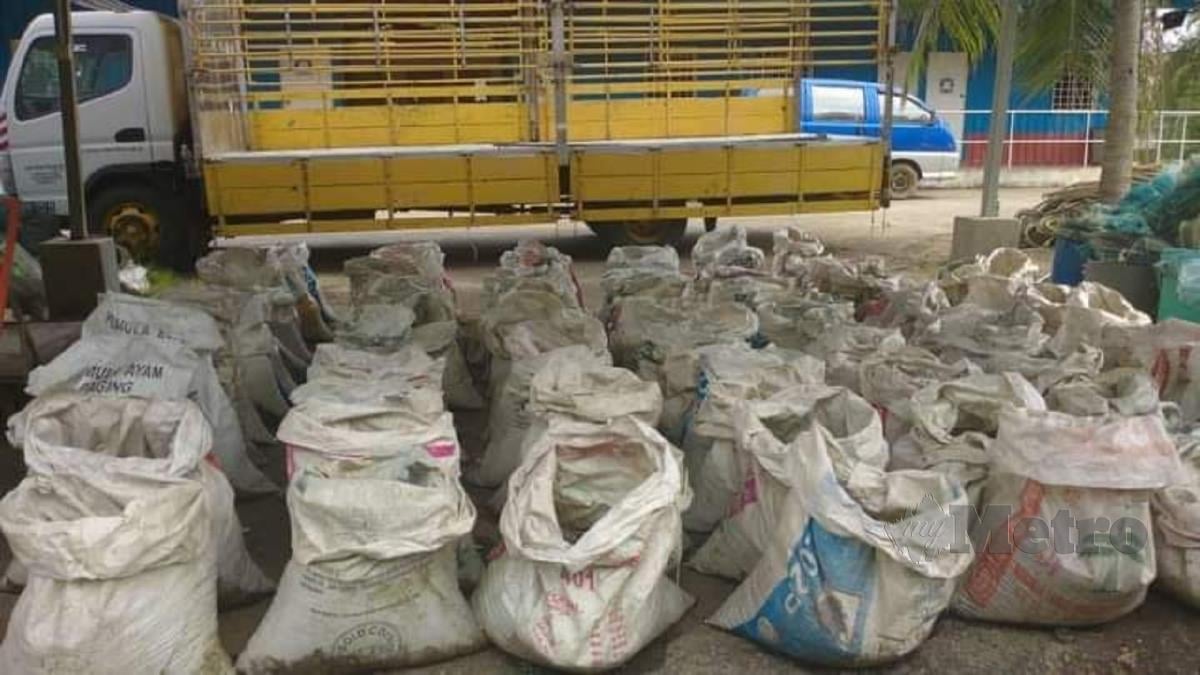LORI bersama muatan 100 guni berisi benih kerang bernilai RM 50,000 ditahan di Simpang Tiga, Sungai Lang, semalam. FOTO Ihsan JABATAN PERIKANAN SELANGOR