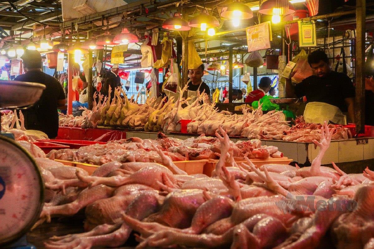 PENIAGA memeriksa tahap kesegaran ayam yang dijual ketika tinjauan harga di Pasar Chow Kit, Kuala Lumpur. FOTO Sadiq Sani