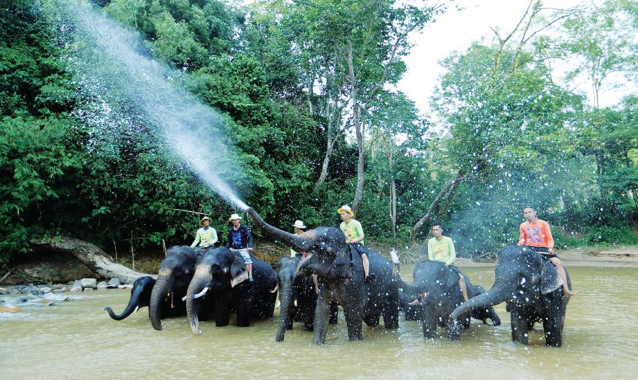 GELAGAT gajah di KECV menyimbah air kepada pengunjung ketika dimandikan.