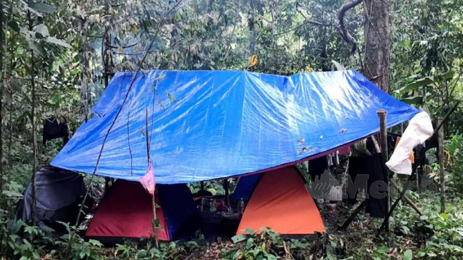 JABATAN Perhutanan Negeri Perak merampas khemah dan peralatan selepas menahan enam lelaki di Hutan Simpan Bukit Tapah kerana gagal mengemukakan sebarang dokumen kebenaran memasuki HSK dari Pejabat Hutan Daerah Tapah. FOTO IHSAN JABATAN PERHUTANAN PERAK