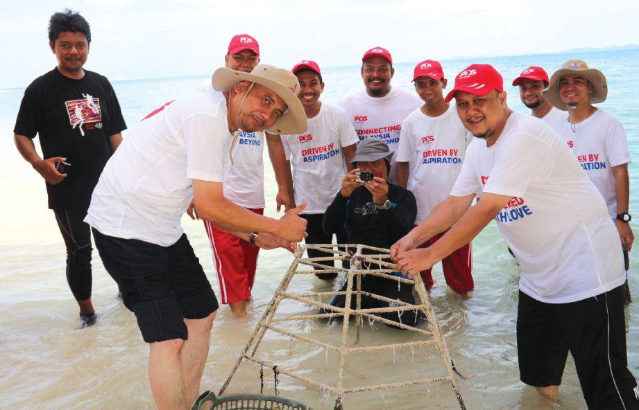 MAHFIDZ bersama kakitangan Pos Malaysia meletakkan ranting karang tanduk rusa di tapak semaian untuk ditempatkan di Pulau Besar.