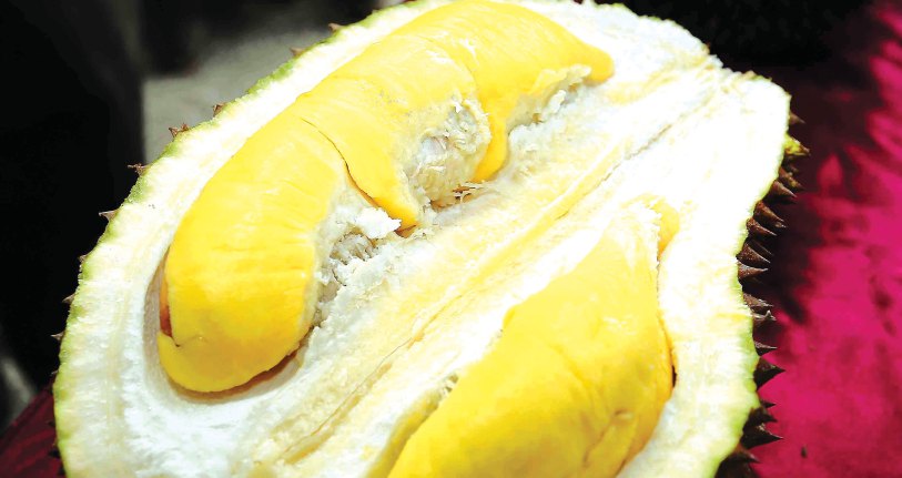 Makan Durian Biar Berpada