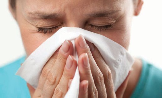 PENYAKIT alahan ini kerap berlaku apabila tubuh manusia terdedah alergen seperti debunga, hama atau bulu haiwan.
