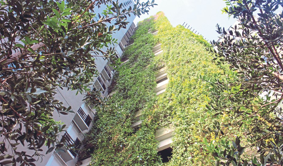 TREND biophilic dalam seni bina landskap hijau dilihat mampu mengurangkan kesan persekitaran terhadap alam sekitar.