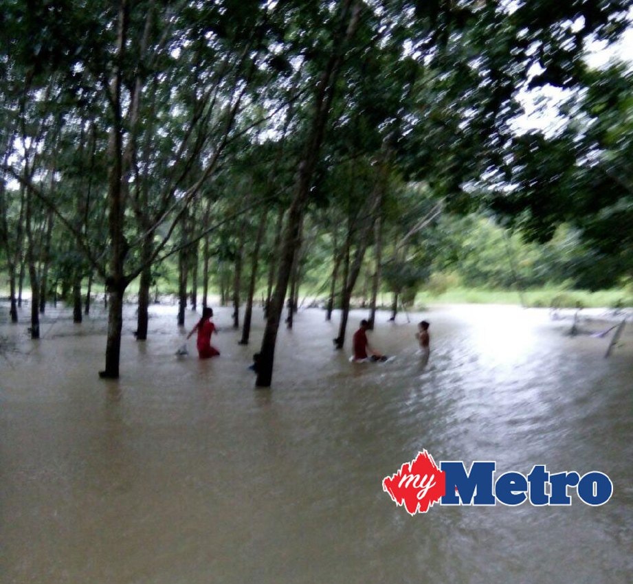 Beberapa kawasan rendah di Kampung Tasek, Pasir Puteh, kini mula dilanda banjir. FOTO Rokaid Chik 