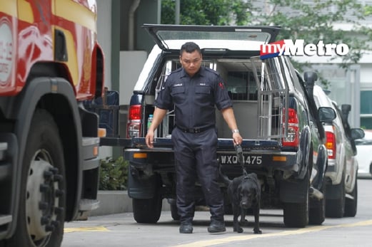 Polis menggunakan anjing pengesan bagi membuat pemeriksaan berikutan penemuan bahan letupan di sebuah unit kondominium di Damansara Perdana pagi tadi. - Foto GHAZALIKORI