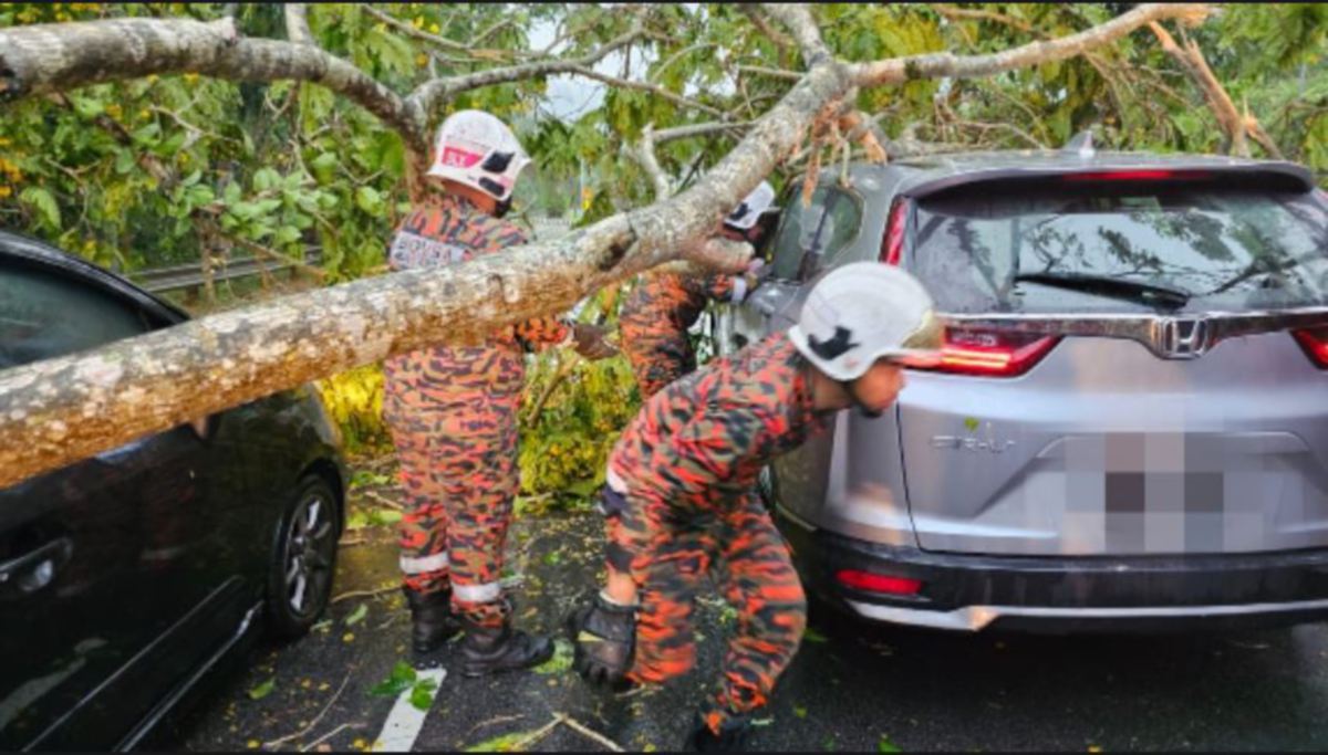 LIMA individu nyaris maut apabila dua pokok tumbang menghempap kenderaan mereka. FOTO Ihsan JBPM Selangor. 