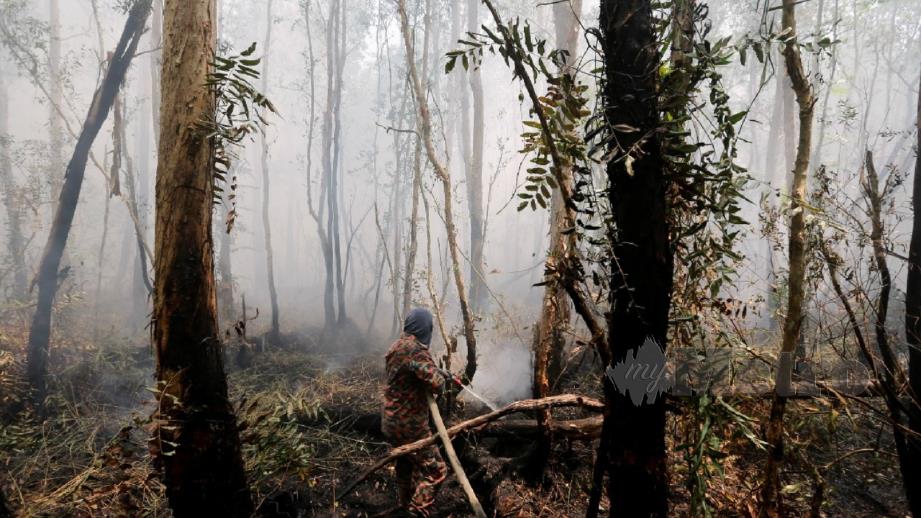Anggota bomba bertungkus lumus memadamkan kebakaran hutan sejak Ahad lalu. FOTO Rasul Azli Samad