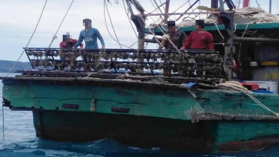 APMM berjaya menggagalkan cubaan sebuah bot nelayan Vietnam mengaut hasil gamat dengan berselindung di sebalik bot klon berpendaftaran tempatan. FOTO IHSAN APMM