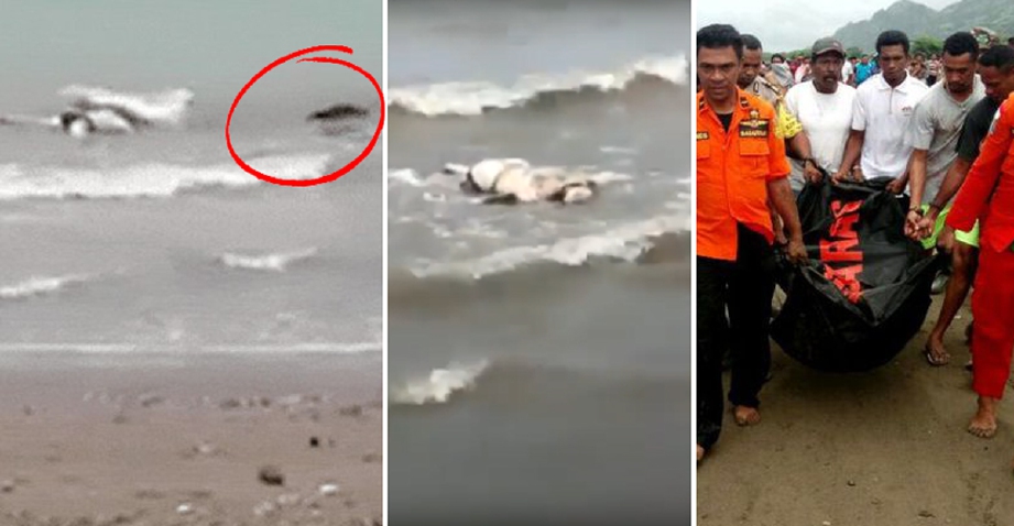 Petikan rakaman video kejadian buaya membawa mayat lelaki ke Pantai Nino,  Nusa Tenggara Timur. - Foto YouTube