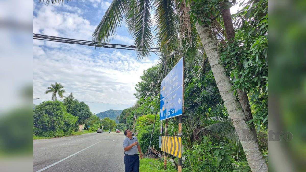 AZRUL Mahathir meninjau lokasi buah kelapa gugur hingga menyebabkan kemalangan di Jalan Teluk Kumbar. FOTO Aminah Yusof